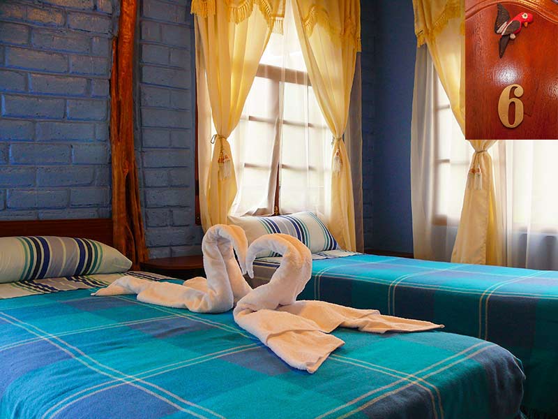 habitacion 6 hostal rio negro