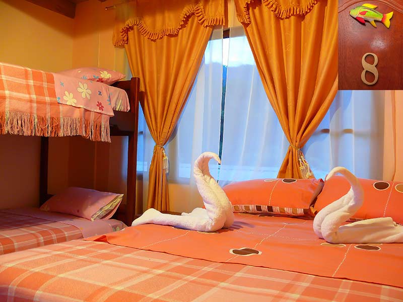 habitacion8 hostal rio negro